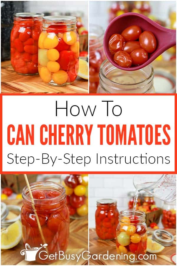  Como conservar tomates-cereja