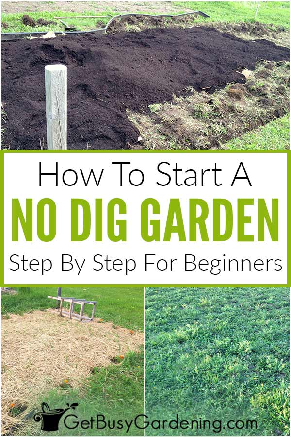  Jardinagem sem escavação 101: Como começar uma horta sem escavação