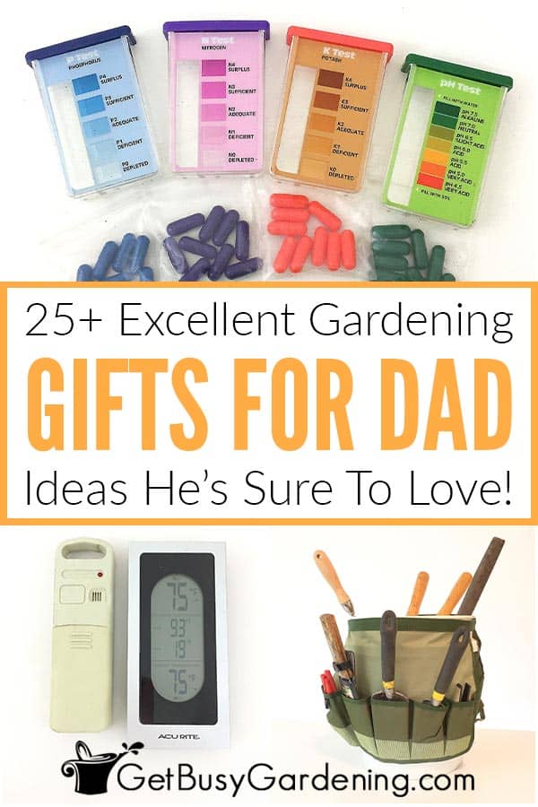  25+ Excelentes presentes de jardinagem para o pai