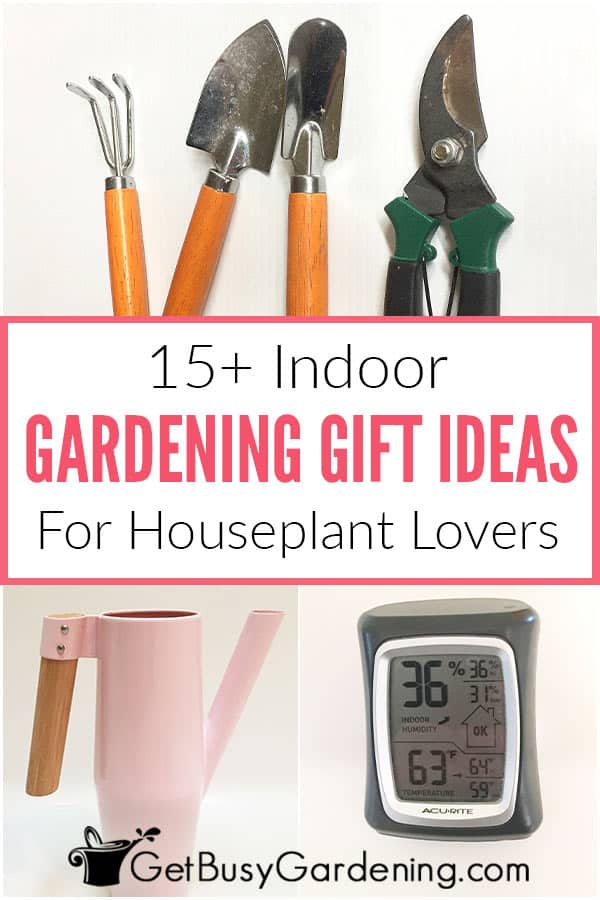 15+ Ideias de presentes de jardinagem interior para os amantes de plantas