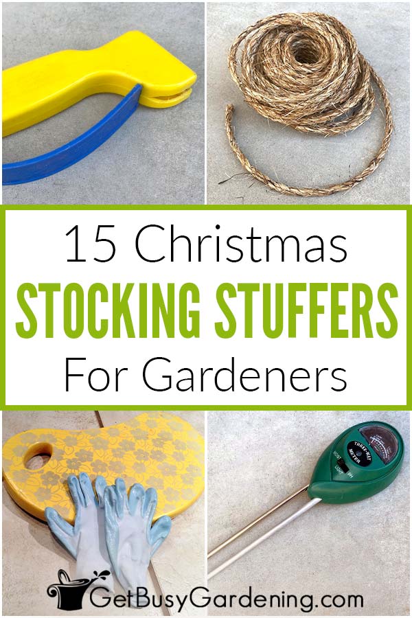  15 presentes de Natal para jardineiros