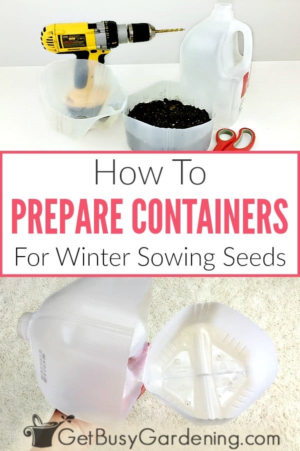  Como preparar os recipientes para a sementeira de inverno