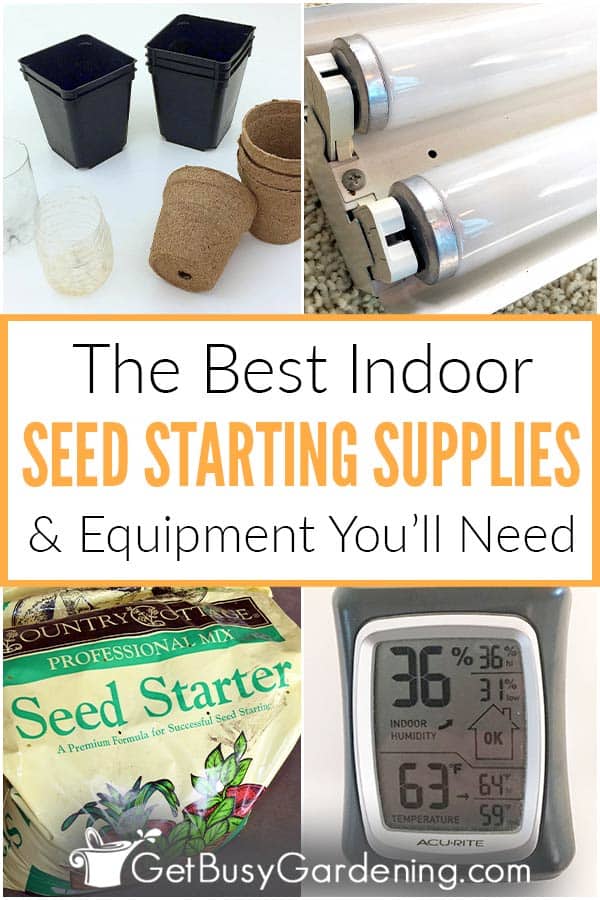  Os melhores materiais e equipamentos para o arranque de sementes em interiores
