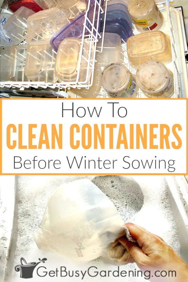  Como limpar os recipientes de sementeira de inverno para reutilização