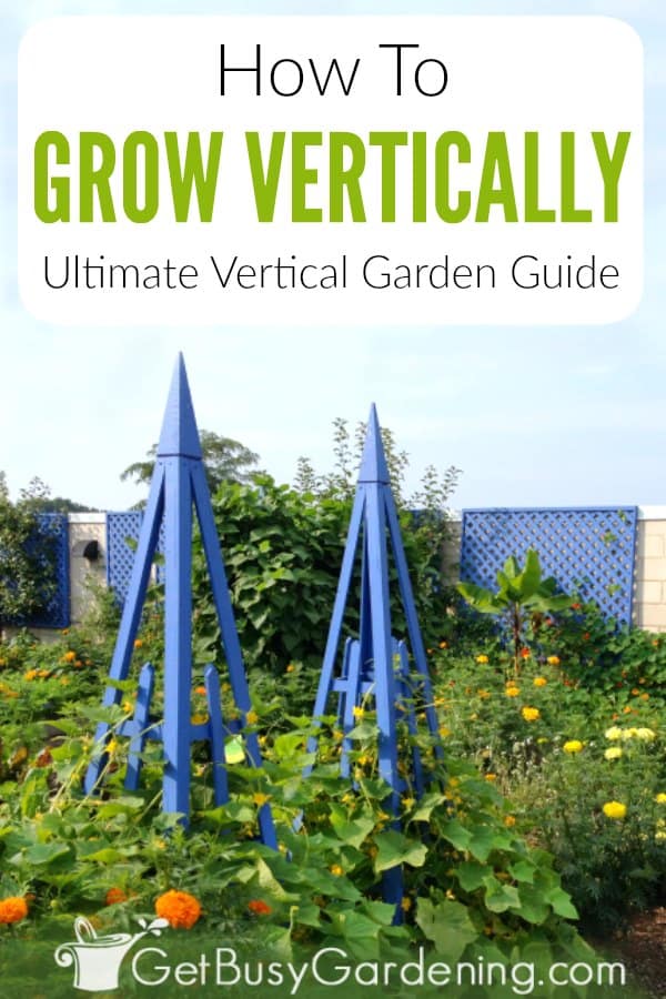  Cultivo vertical: O melhor guia para jardins verticais