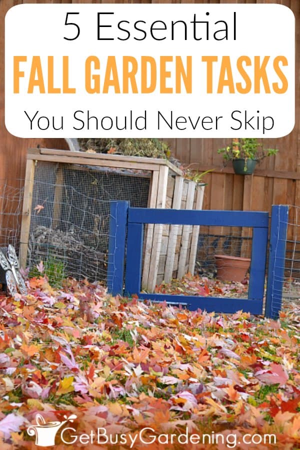  5 Tarefas essenciais para o jardim no outono que nunca devem ser ignoradas