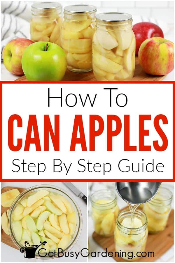  Kako konzervirati jabuke