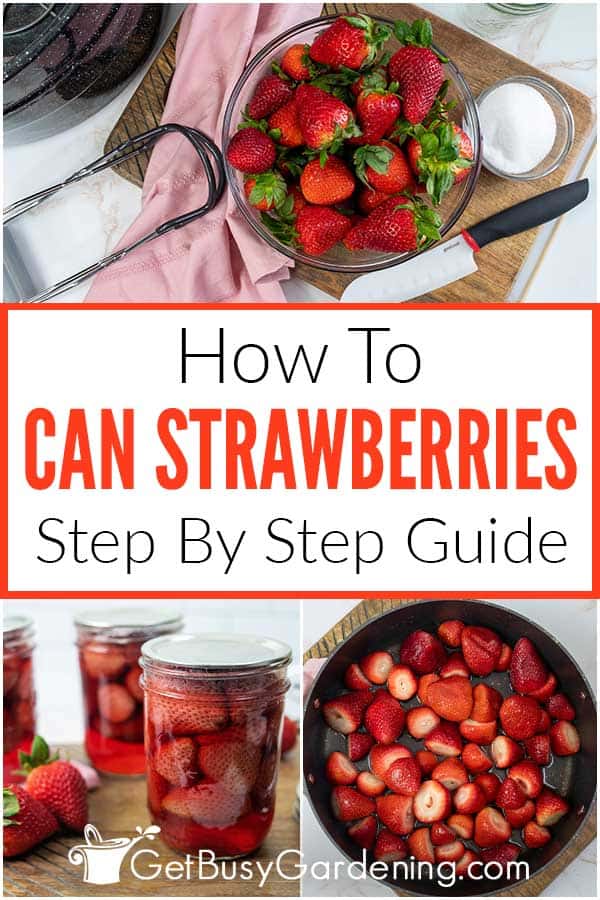  Wie man Erdbeeren richtig konserviert