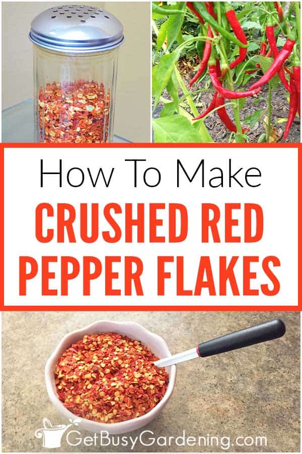  Πώς να φτιάξετε νιφάδες κόκκινου πιπεριού στο σπίτι