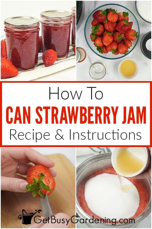  Hur man konserverar jordgubbssylt (med recept!)