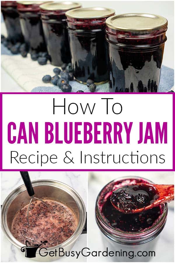  Bagaimana Boleh Jem Blueberry (Dengan Resipi!)