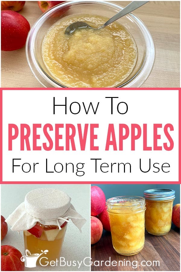  Comment conserver les pommes à long terme