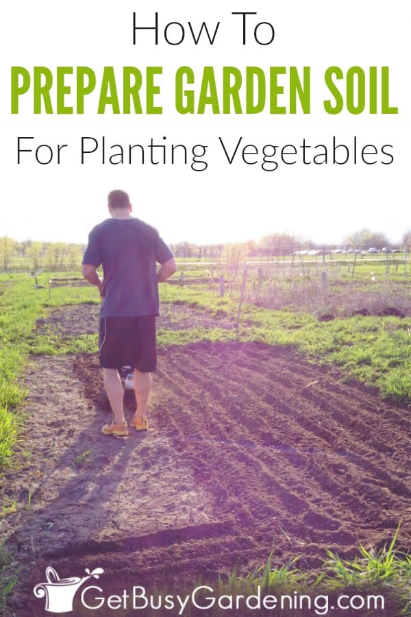  Як підготувати грядку до посадки овочів