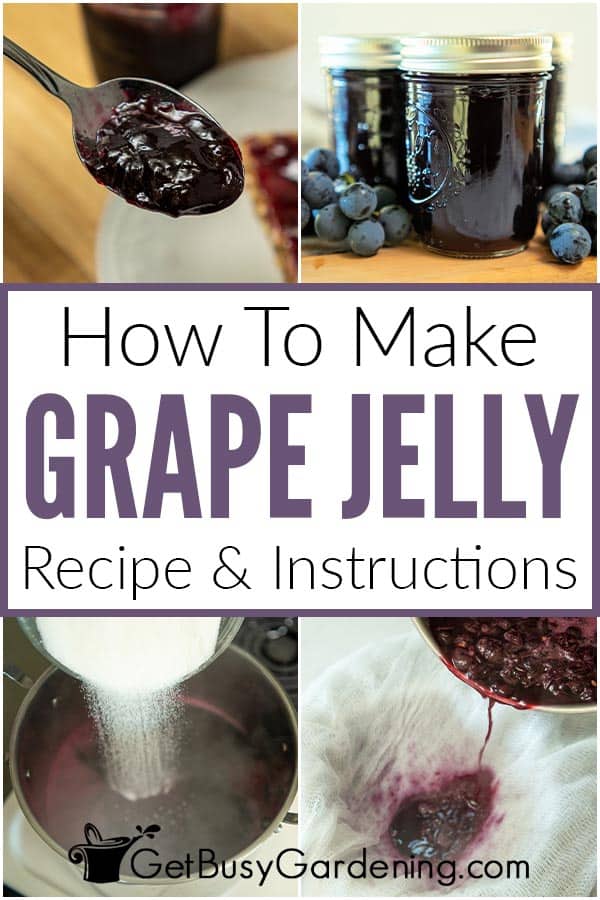 Como fazer geleia de uva (receita e instruções)