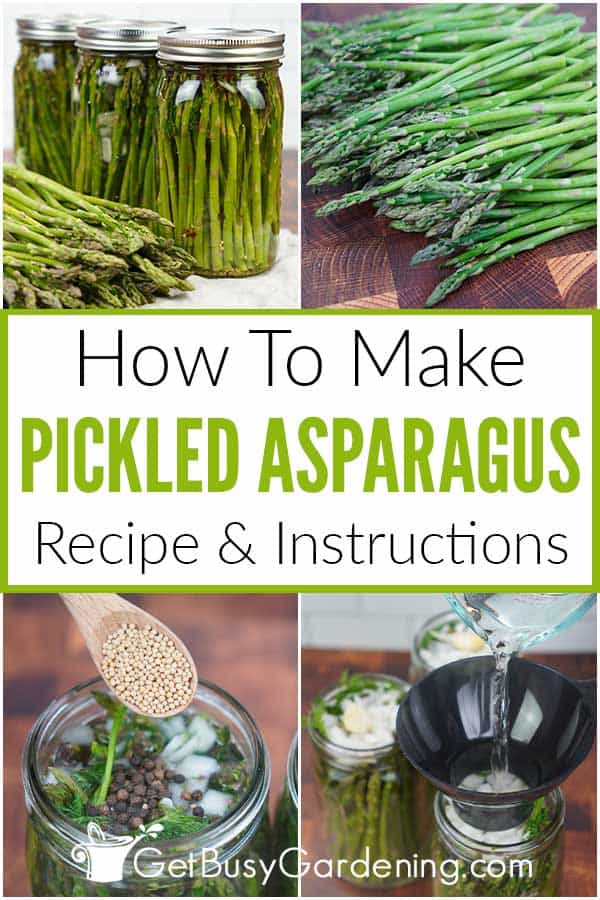 Sida Loo Sameeyo Asparagus pickled (oo leh Recipe)