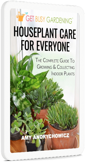  رعاية نباتات منزلية للجميع كتاب إلكتروني