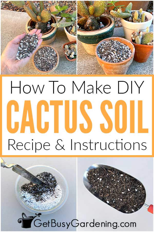  Cómo hacer tu propia mezcla de tierra para cactus (¡con receta!)