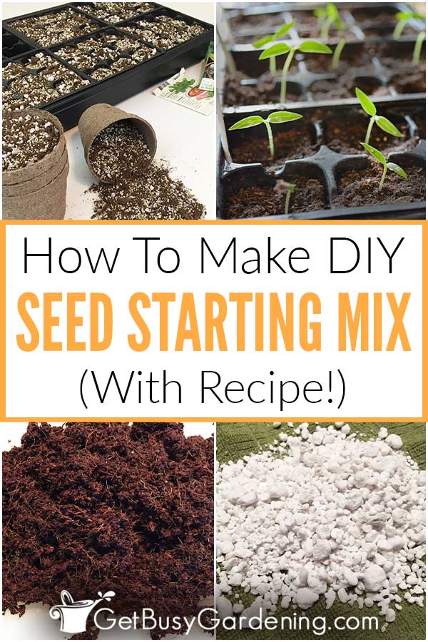  Amestec de pornire a semințelor DIY - Cum să-ți faci propriul amestec (cu rețetă!)