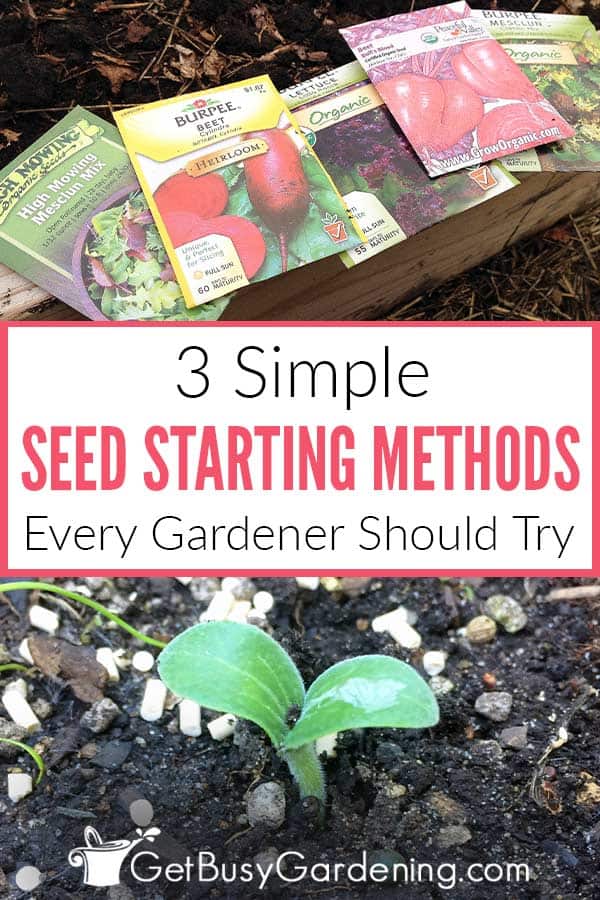  Методи за почеток на семиња што секој градинар треба да ги испроба