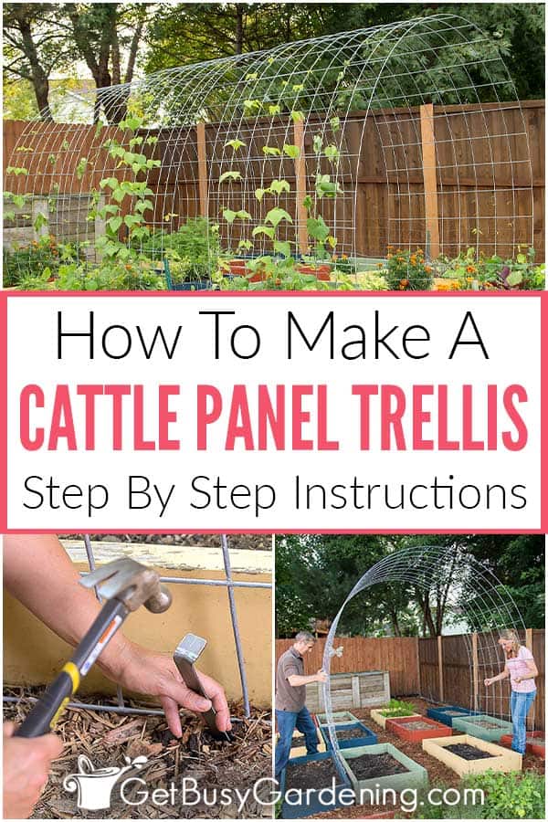  Cómo hacer un panel de ganado enrejado arco