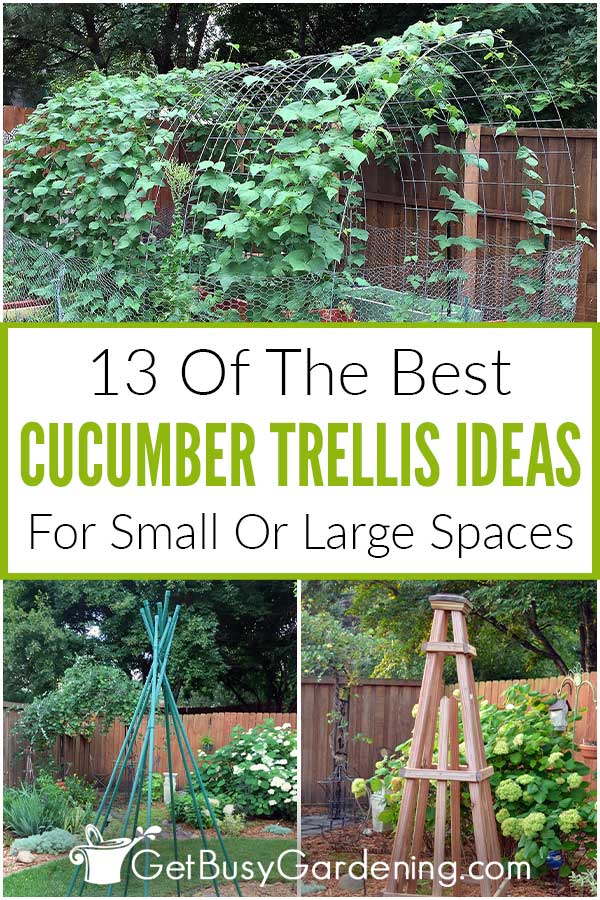  适合小型或大型空间的 13 个 DIY 黄瓜花架创意
