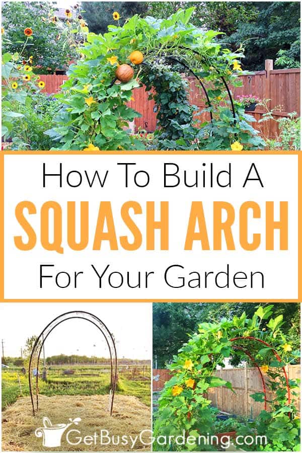  Como construír un arco de cabaciña para o teu xardín