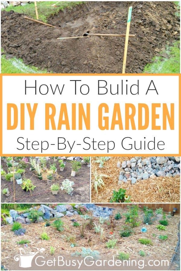  Como construir um jardim de chuva passo a passo