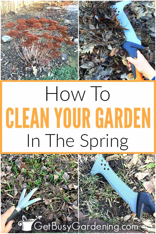  Cómo limpiar un jardín en primavera (con lista de comprobación)
