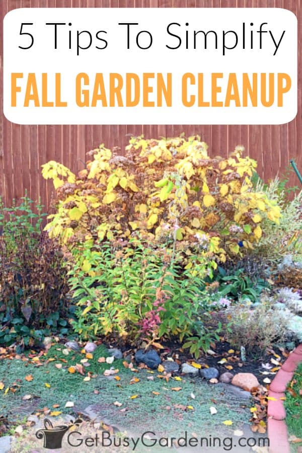  5 съвета за опростяване на есенното почистване на градината
