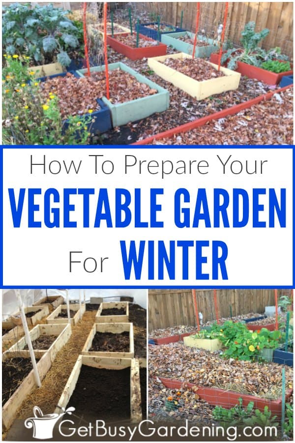  Príprava zeleninovej záhrady na zimu - kompletný sprievodca